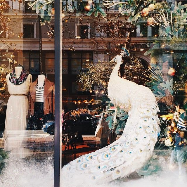 1jengshshhzshhdgorapmvsch