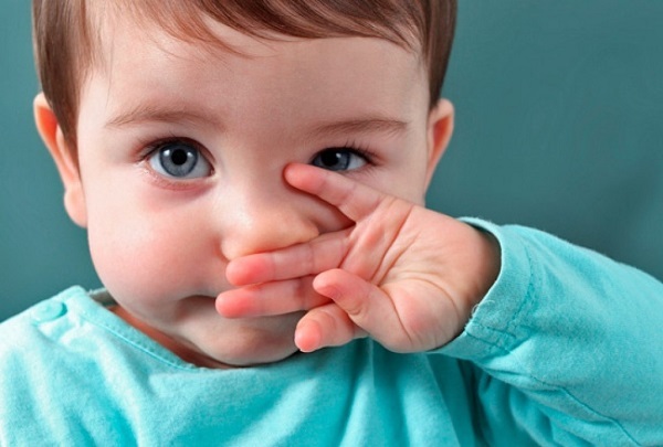 282aa257b9bcee3e6d78dcdb6a954627