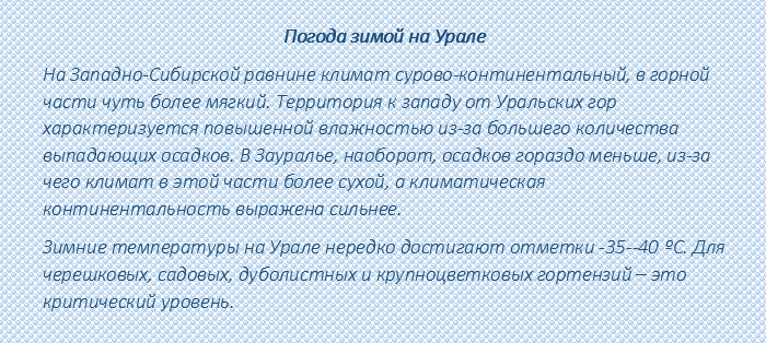 842ee42g8kcpkepcgshshhshhushhshh