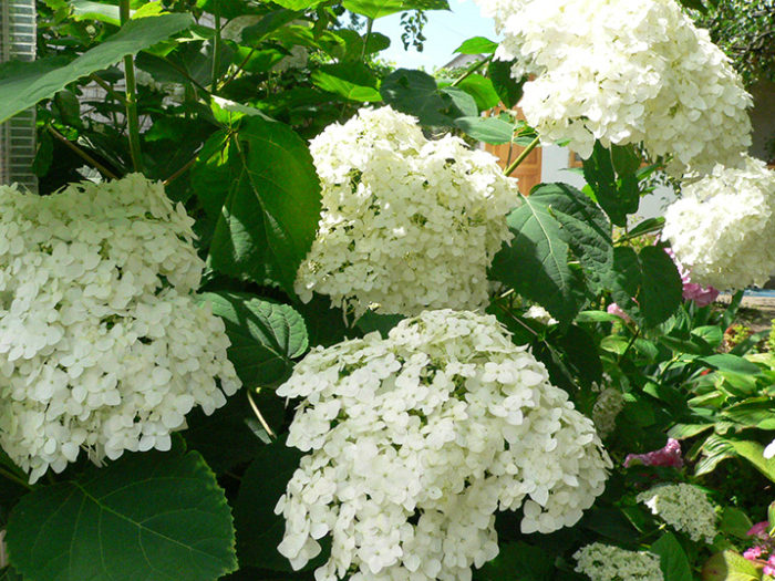 shkengkenshrch56348ne3n84u0nyake5yuv