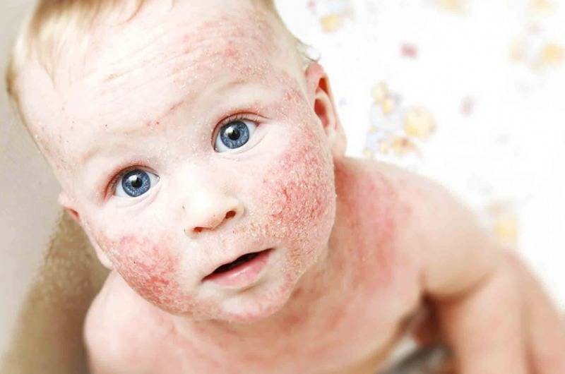 982a091132e4676cf5639765e1a6f4cd