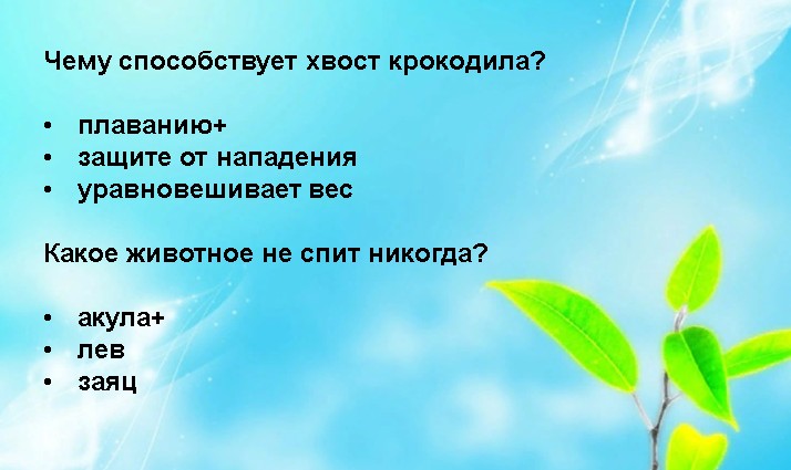 Викторина по экологии для дошкольников презентация