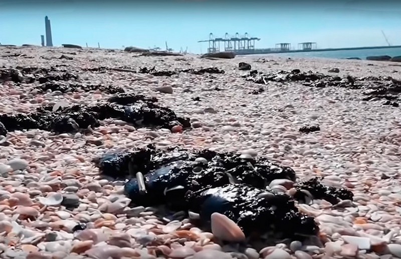 000026_1613976596_429690_big