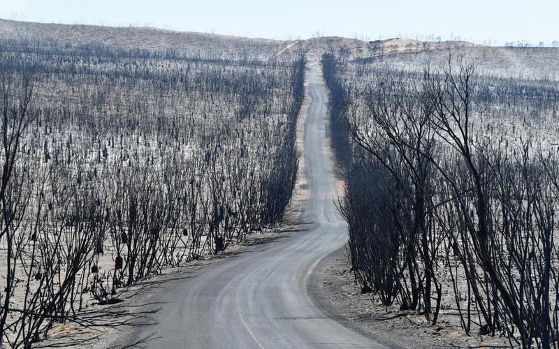 australia_bushfires