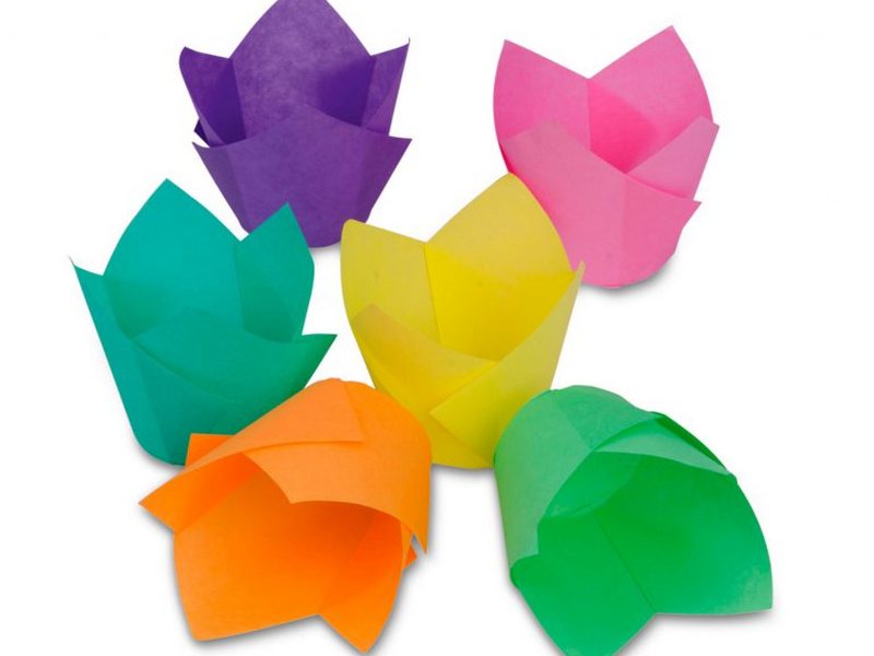 odnorazovye-formochki-tyulpany-768x643