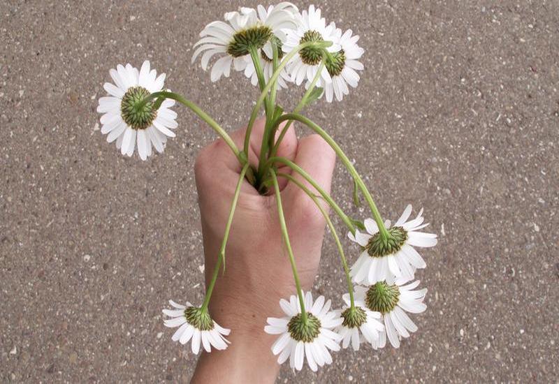 photocaseasdj8dhv3qhk1-e1485261697712