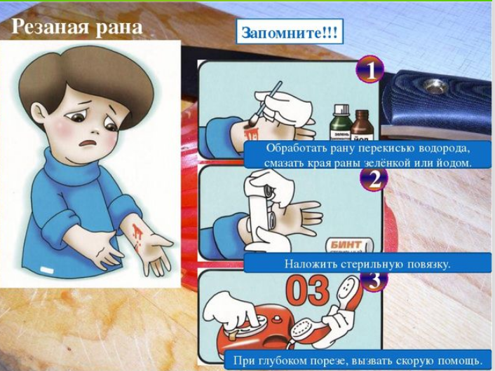 zzhshhdshlgonrepkavichya