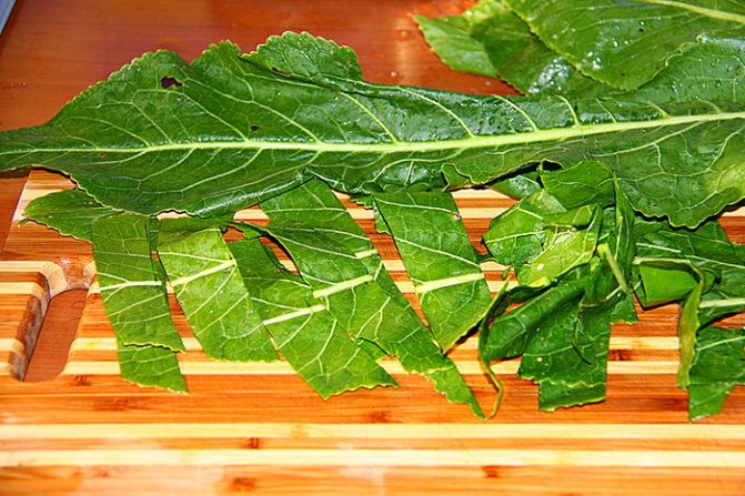 Заготовка зелени хрена