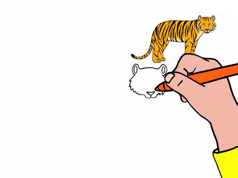 14432-dessiner-un-tigre-1