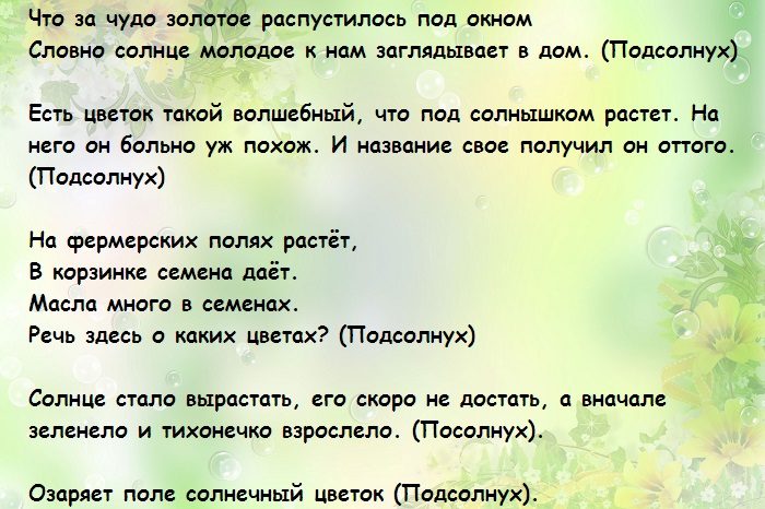 дождь в лесу текст. осенние стихи и загадки. загадки про лес маленькие. стихотворение про дождик. загадки про осень 2 класс.