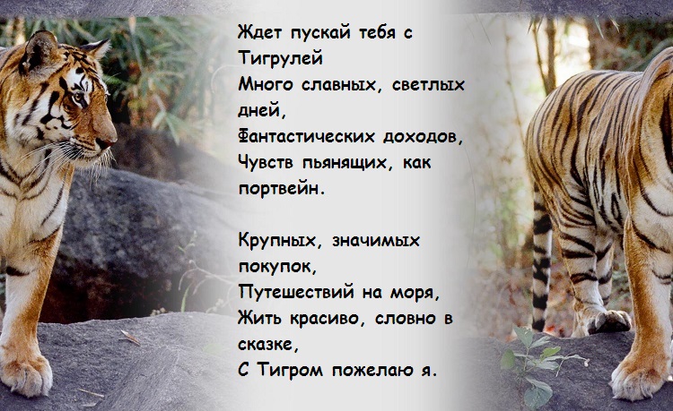 6-imirz9g
