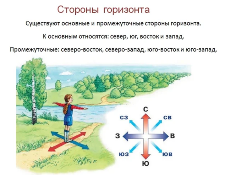 Ориентир 3. Стороны горизонта. Ориентирование на местности стороны горизонта. Ориентиры сторон света на местности. Стороны горизонта для детей.