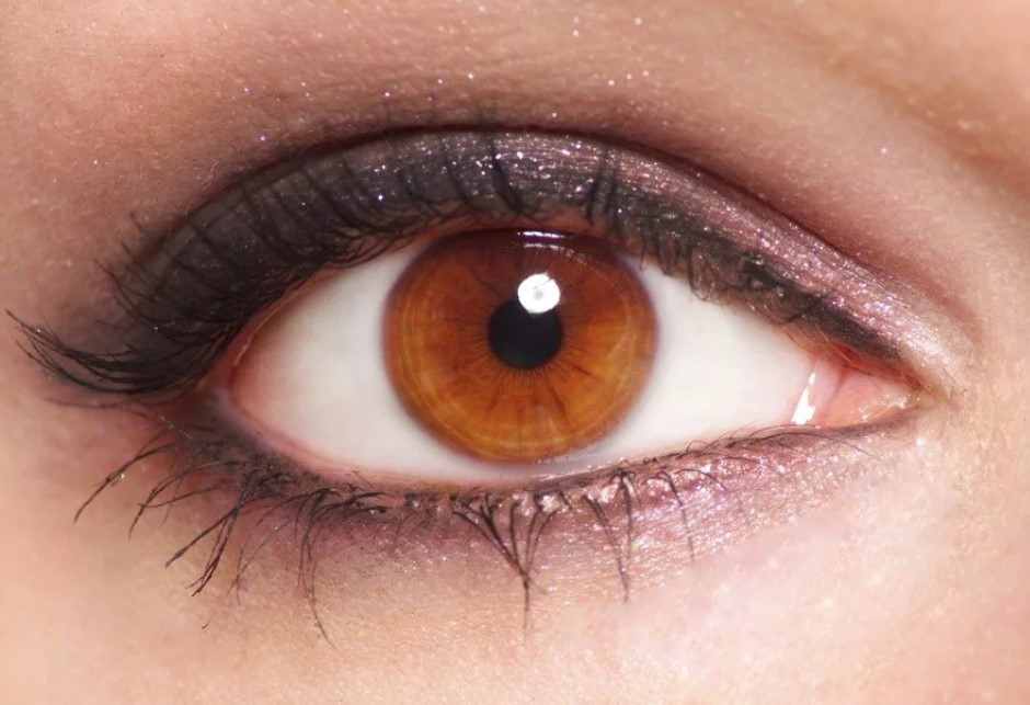 Ореховый цвет глаз у человека фото