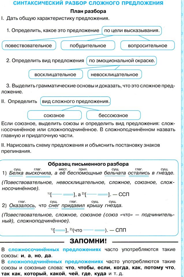 Образец разбор сложного предложения