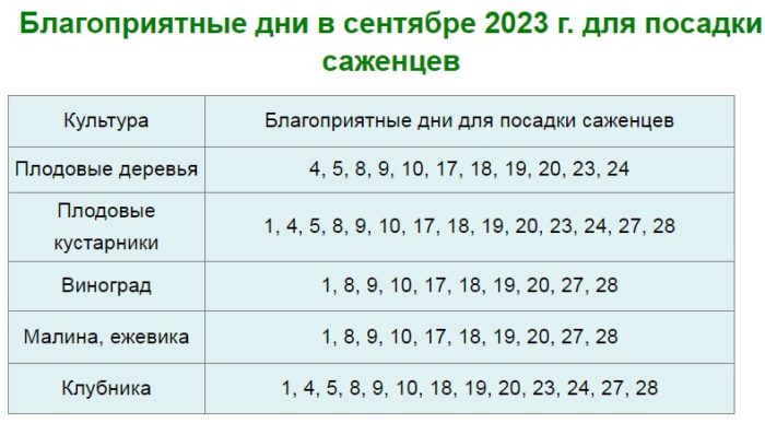 Благоприятные дни посадки в 2023 году