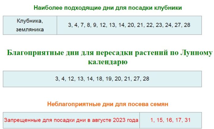 Чеснок посадка календарь 2023