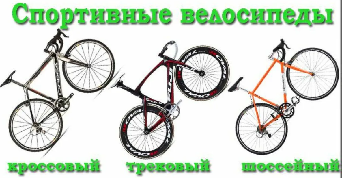 Как отличить велосипеды. Виды велосипедов. Велосипеды по видам. Классификация велосипедов. Названия типов велосипедов.