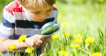 Young boy exploring nature in a meadow with a magnifying glass looking for insects
