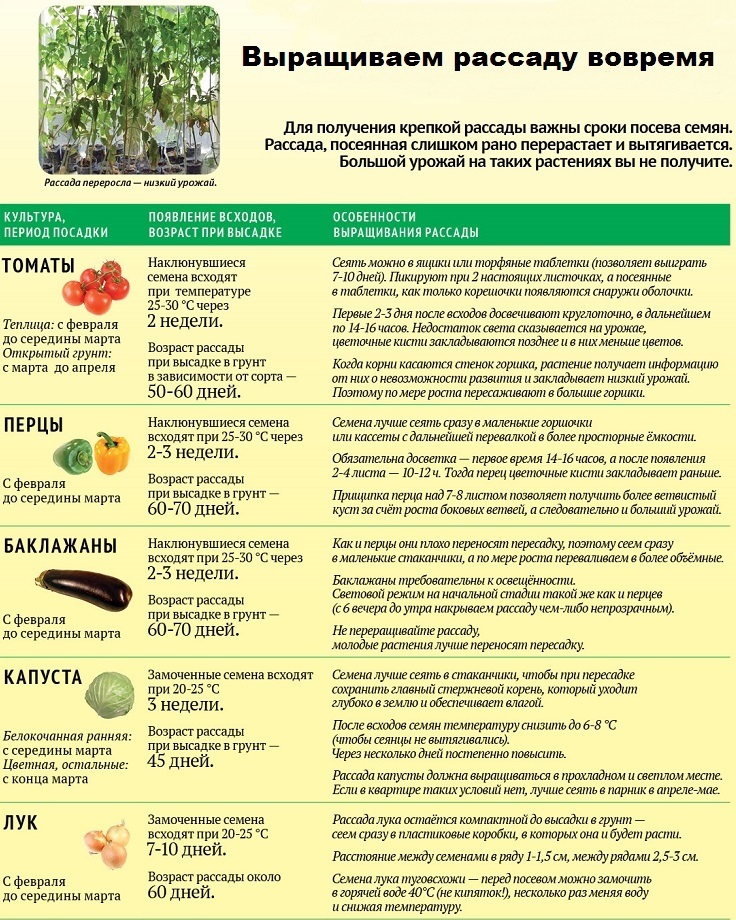 Сроки посадки овощей на рассаду. Таблица посева овощей на рассаду. Таблица огородника посадки на рассаду. Даты высадки рассады.